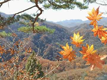 鳳凰古城探秘，深度旅游攻略，領(lǐng)略獨(dú)特文化魅力