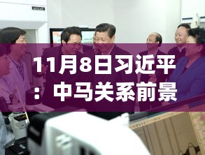 11月8日習(xí)近平：中馬關(guān)系前景光明 未來可期，11月8日習(xí)近平主席談中馬關(guān)系，未來光明，前景可期