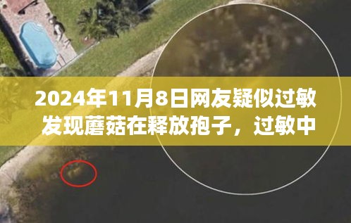 網(wǎng)友過敏遭遇啟示，蘑菇孢子釋放背后的成長與自信之路探索