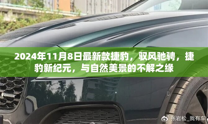 政策法規(guī) 第216頁