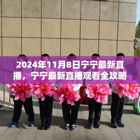 寧寧直播指南，2024年11月8日直播觀看全攻略與入門指南