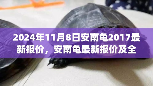 2024年視角，安南龜最新報價及全面評測