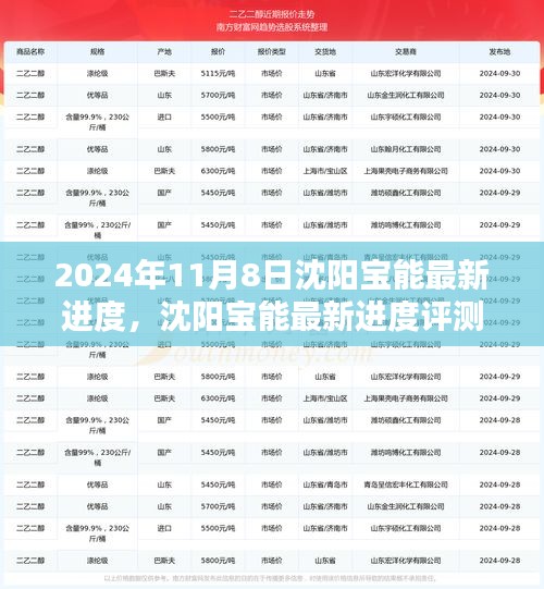 沈陽寶能最新進(jìn)度深度解析，產(chǎn)品特性與用戶體驗評測報告