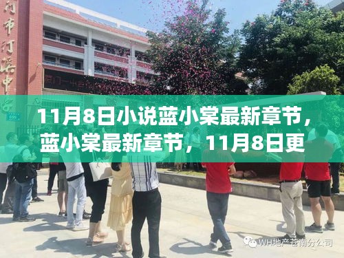 藍(lán)小棠最新章節(jié)更新概覽，11月8日之我見