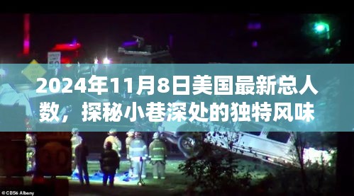 美國人口新篇章，探秘小巷深處的獨(dú)特風(fēng)味，揭曉最新總?cè)藬?shù)（2024年11月）