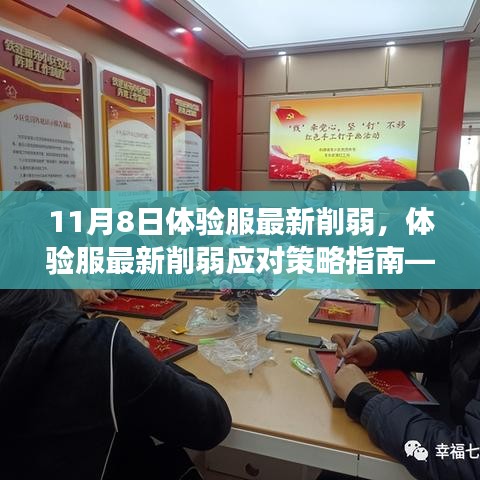 體驗服最新削弱應(yīng)對策略指南，初學(xué)者與進階用戶視角（適用于11月8日更新）