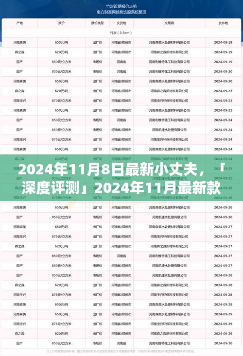 深度評(píng)測(cè)，全方位解析2024年最新款小丈夫產(chǎn)品特性與用戶體驗(yàn)體驗(yàn)報(bào)告