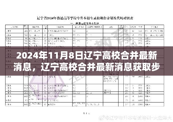 遼寧高校合并最新消息獲取指南，初學(xué)者與進(jìn)階用戶(hù)適用，2024年高校合并最新動(dòng)態(tài)揭秘