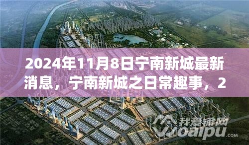 寧南新城日常趣事與陽光溫情，2024年11月8日最新消息