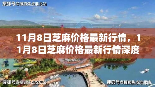 芝麻最新行情解析，多方觀點碰撞與個人立場闡述