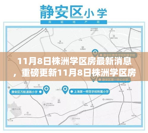 揭秘最新動(dòng)態(tài)，株洲學(xué)區(qū)房最新消息與教育地產(chǎn)趨勢(shì)展望