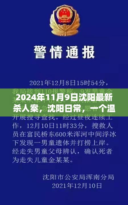 沈陽殺人案背后的友情與陪伴故事，日常溫馨背后的真相（2024年）