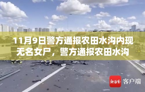 農(nóng)田水溝內(nèi)發(fā)現(xiàn)無名女尸事件，深度解析與評估的通報消息曝光