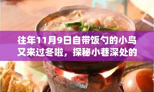 探秘美食秘境，小鳥(niǎo)攜勺冬歸，往年11月與一月美食盛宴開(kāi)啟