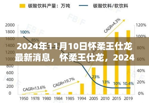 懷柔王仕龍最新動態(tài)與深遠影響力揭曉，2024年11月10日更新