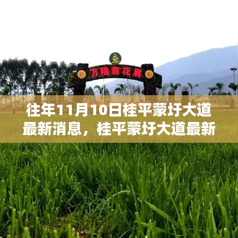 桂平蒙圩大道最新動(dòng)態(tài)獲取全攻略，輕松掌握最新消息動(dòng)態(tài)