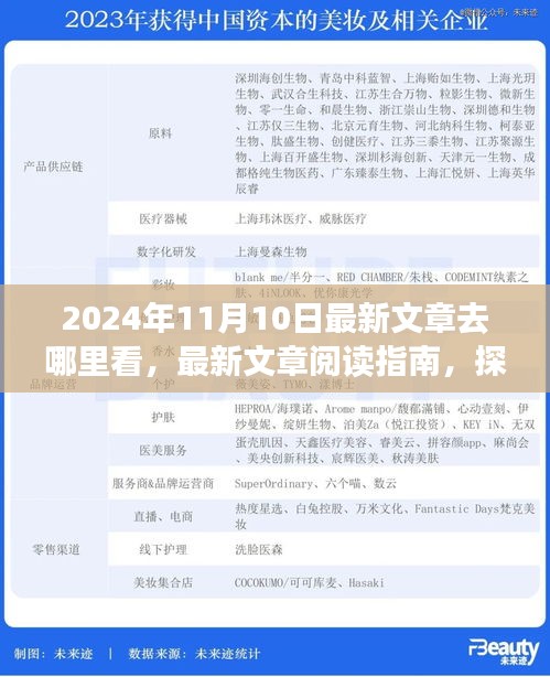 探尋最新文章閱讀指南，揭秘2024年11月10日的精彩內(nèi)容