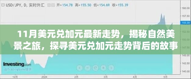 揭秘美元兌加元走勢背后的故事，自然美景之旅啟程，探尋內(nèi)心的寧靜與平和之旅