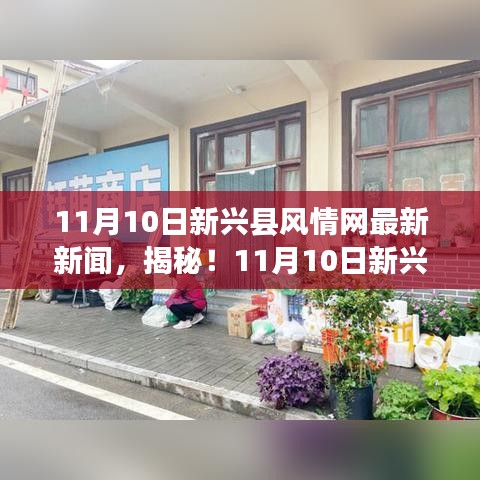 獨(dú)家揭秘，新興縣風(fēng)情網(wǎng)小巷深處的隱藏美食，獨(dú)特小店美味探險(xiǎn)之旅