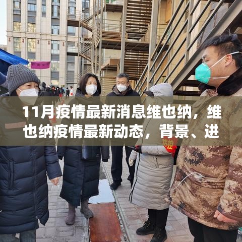 維也納疫情最新動態(tài)，背景、進展與影響概述