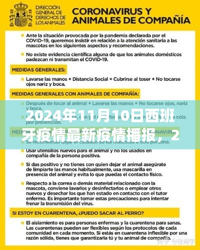 西班牙疫情最新播報(bào)解讀指南，2024年11月10日最新播報(bào)與解讀