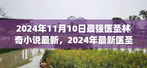 最強醫(yī)圣林奇小說閱讀攻略，獲取最新章節(jié)的實用指南