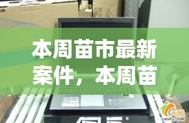 本周苗市熱點揭秘，最新案件動態(tài)全掌握