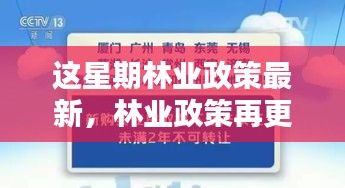 林業(yè)政策最新動(dòng)向，本周更新及其時(shí)代影響力分析
