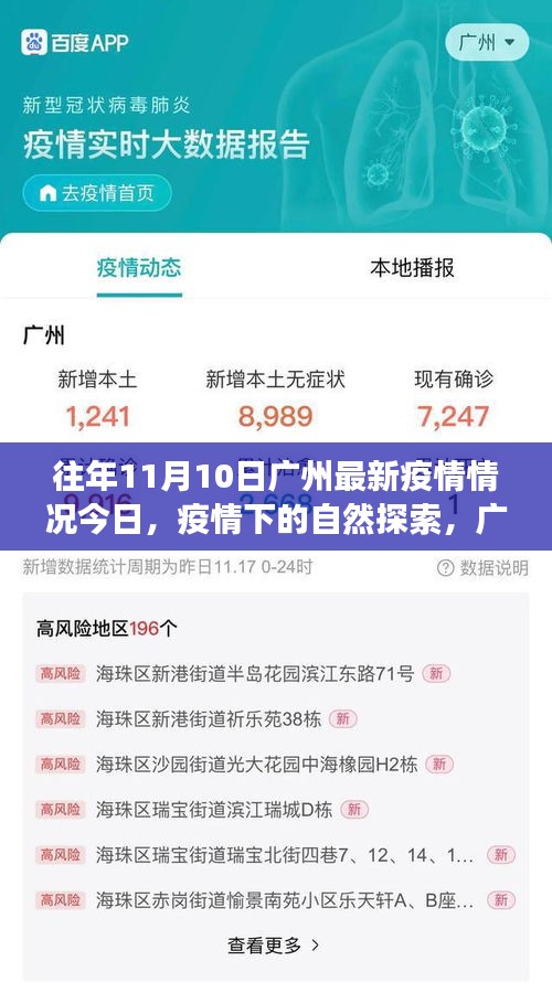 往年11月10日廣州疫情更新，疫情下的自然探索與寧靜美景之旅