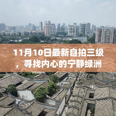 尋找內(nèi)心的寧靜綠洲，最新自拍三級與自然美景之旅