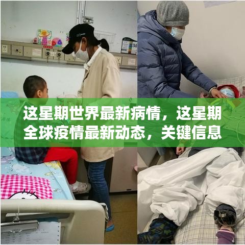 全球疫情最新動態(tài)，本周關(guān)鍵信息與案例分析匯總報(bào)告