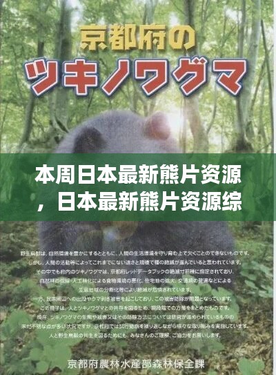 日本最新熊片資源綜述，背景、進展與特定領域地位探討