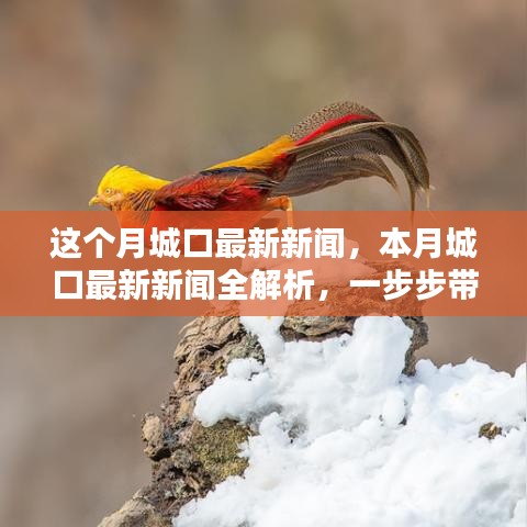 本月城口最新新聞解析，掌握獲取新聞資訊的技能