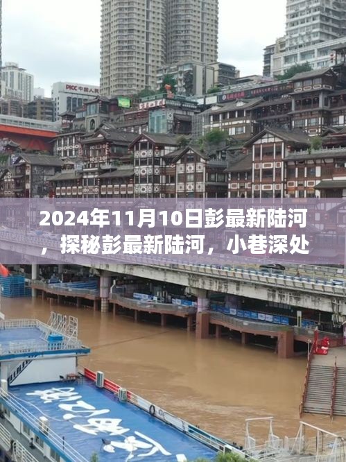 探秘彭最新陸河，小巷深處的味覺(jué)奇遇之旅（2024年11月10日）
