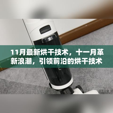 揭秘十一月最新烘干技術(shù)革新，前沿浪潮引領(lǐng)行業(yè)探秘