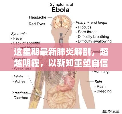 超越陰霾，最新肺炎解剖啟示錄，重塑信心與新知的探索