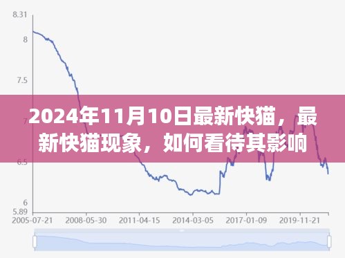 最新快貓現象，影響與未來發(fā)展觀察（2024年觀察點）