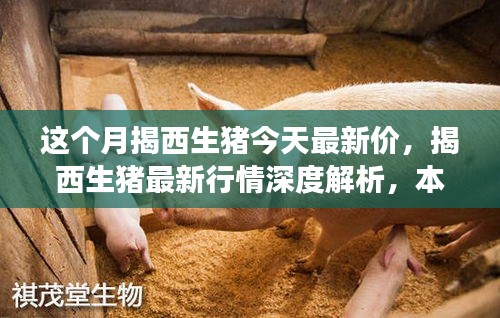在線留言 第207頁