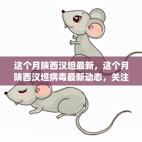 陜西漢坦病毒最新動態(tài)，關注疫情進展，共筑健康防線