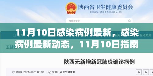 11月10日感染病例最新動態(tài)，獲取準確信息及應對技能的指南