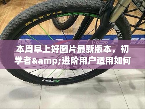 最新早上好圖片問候版獲取與使用指南，適合初學(xué)者與進階用戶