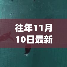 十一月十日，與聲波的奇妙遨游