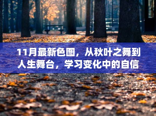 11月新色彩繪人生，從秋葉之舞到自信成就的舞臺(tái)