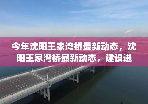 沈陽王家灣橋建設(shè)進展，最新動態(tài)與未來展望