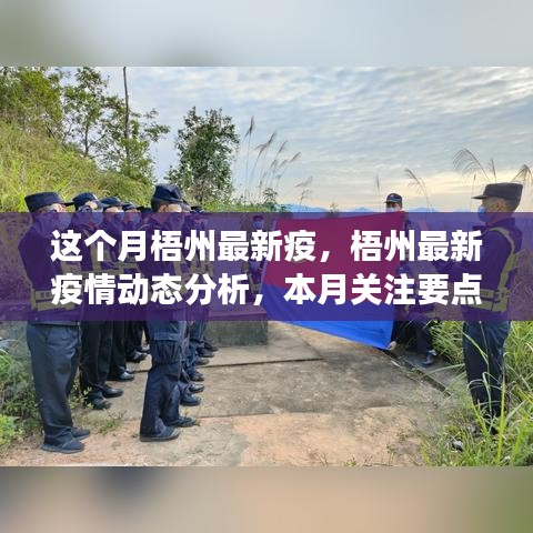 梧州最新疫情動態(tài)解析，本月關(guān)注要點及最新動態(tài)解讀