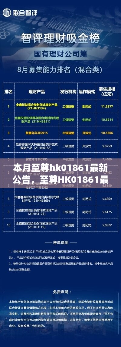 至尊HK01861最新公告揭秘，背景、重大事件與領(lǐng)域地位的回顧與展望