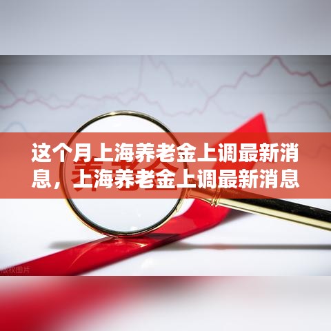 上海養(yǎng)老金上調(diào)最新消息詳解，輕松了解與操作指南