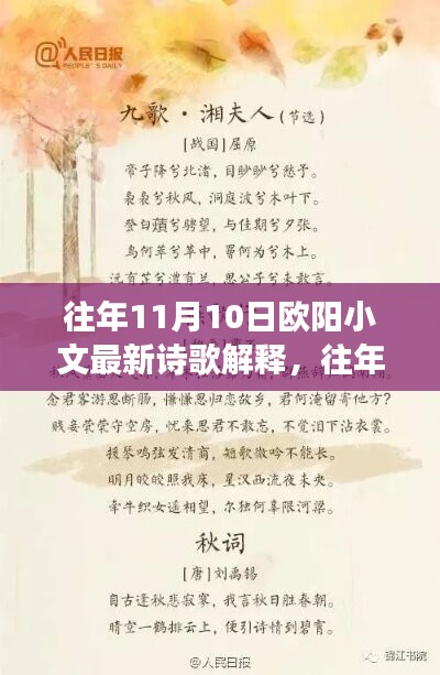 歐陽小文詩歌解析，詩意深度解讀與情感探索——往年11月10日詩歌解讀分享