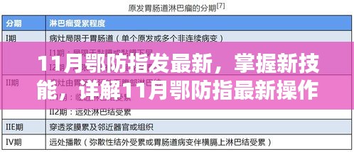 11月鄂防指最新操作流程步驟指南，掌握新技能的詳解