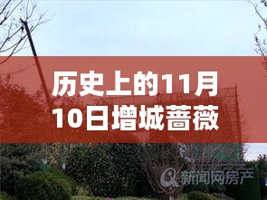歷史上的11月10日增城薔薇國際房價(jià)揭秘，最新價(jià)格一覽表！